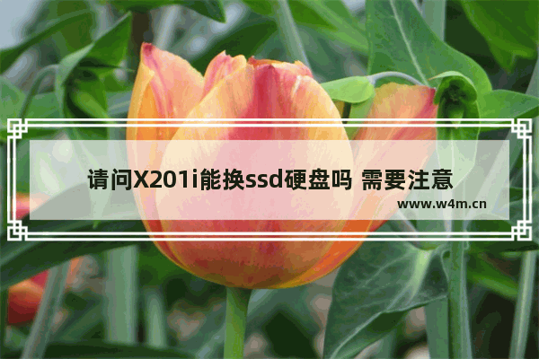 请问X201i能换ssd硬盘吗 需要注意什么 x201i升级固态硬盘教程