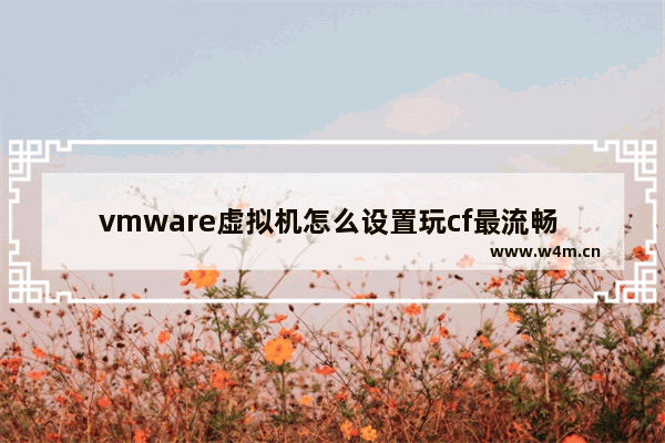 vmware虚拟机怎么设置玩cf最流畅 虚拟机cpu设置