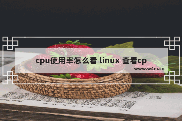 cpu使用率怎么看 linux 查看cpu频率