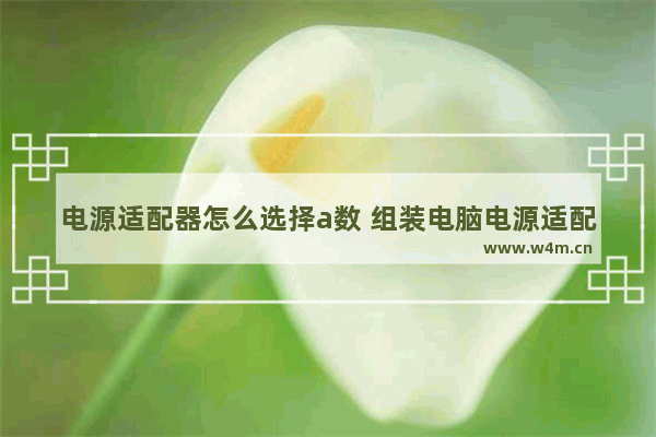 电源适配器怎么选择a数 组装电脑电源适配器的选择