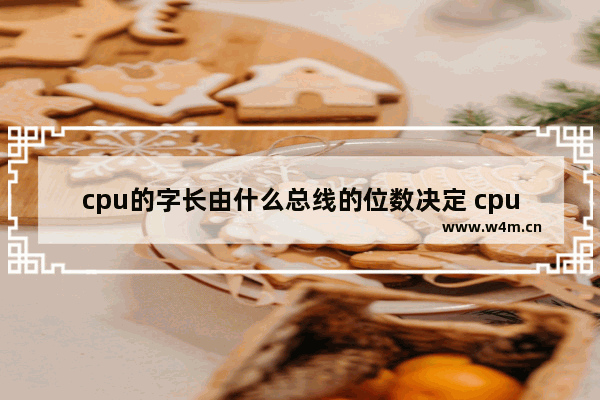 cpu的字长由什么总线的位数决定 cpu总线数据