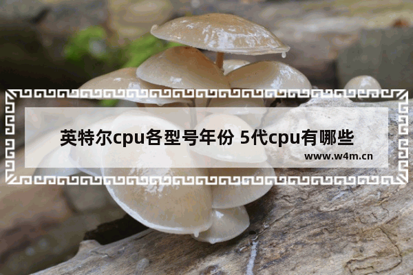 英特尔cpu各型号年份 5代cpu有哪些