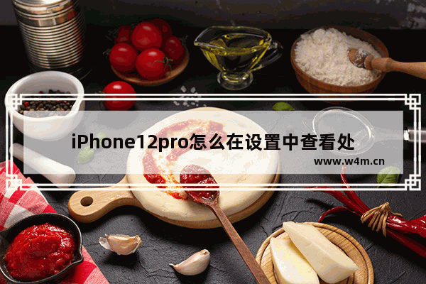 iPhone12pro怎么在设置中查看处理器 怎么看手机CPU好坏