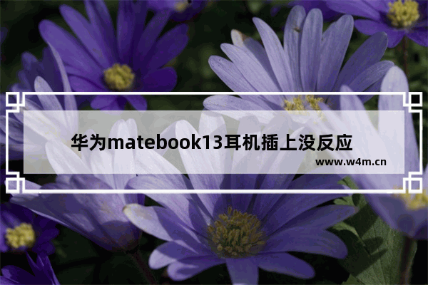 华为matebook13耳机插上没反应 苹果14plus耳机插上没反应