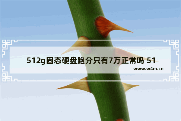 512g固态硬盘跑分只有7万正常吗 512ssd固态硬盘多少钱