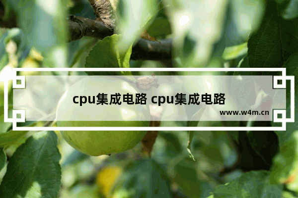 cpu集成电路 cpu集成电路