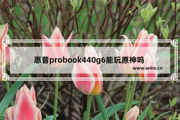 惠普probook440g6能玩原神吗 惠普g6显卡