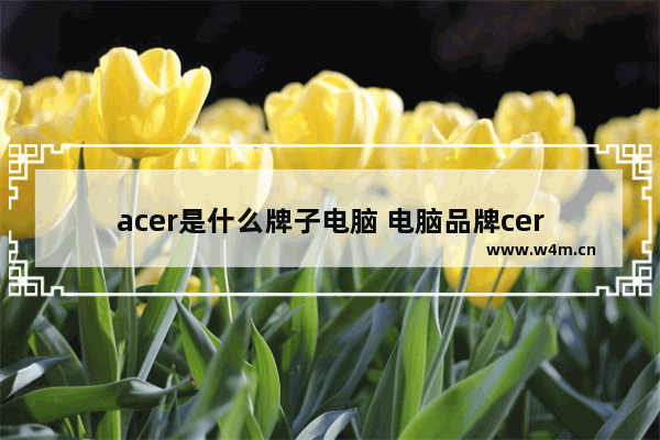 acer是什么牌子电脑 电脑品牌cer