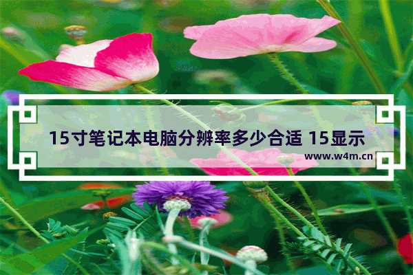 15寸笔记本电脑分辨率多少合适 15显示器分辨率