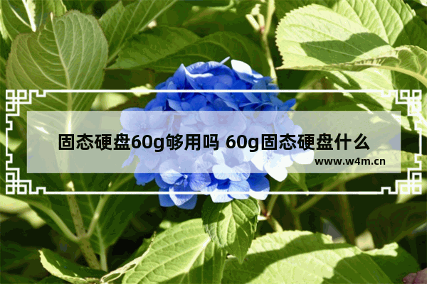 固态硬盘60g够用吗 60g固态硬盘什么牌子好