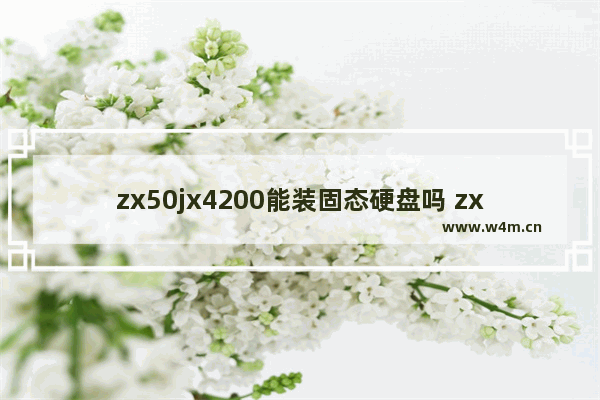 zx50jx4200能装固态硬盘吗 zx50加什么固态硬盘好