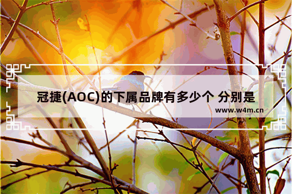 冠捷(AOC)的下属品牌有多少个 分别是什么 显示器品牌穿搭推荐