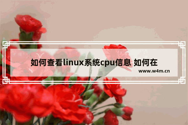 如何查看linux系统cpu信息 如何在linux系统下查看cpu使用率