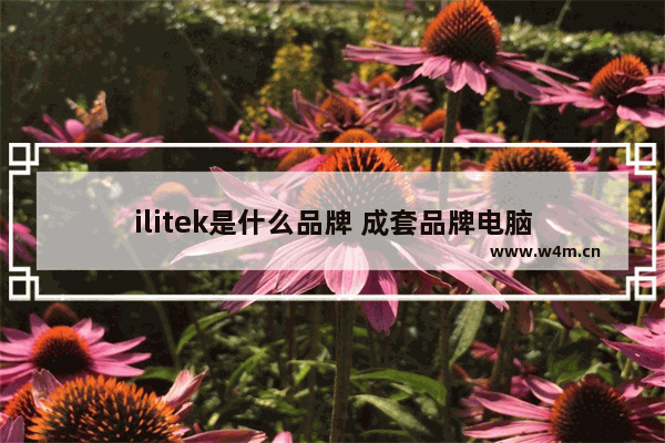 ilitek是什么品牌 成套品牌电脑