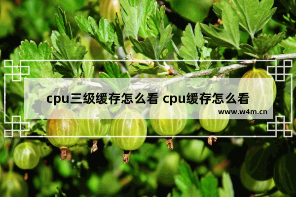 cpu三级缓存怎么看 cpu缓存怎么看