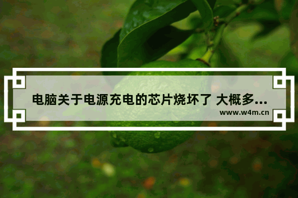 电脑关于电源充电的芯片烧坏了 大概多少钱维修 组装电脑不充电维修多少钱