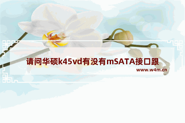 请问华硕k45vd有没有mSATA接口跟sata接口 或者是机械硬盘跟固态硬盘可不可以一起用 华硕x45vd加固态硬盘