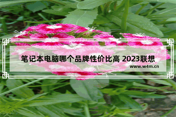 笔记本电脑哪个品牌性价比高 2023联想笔记本电脑哪款性价比高