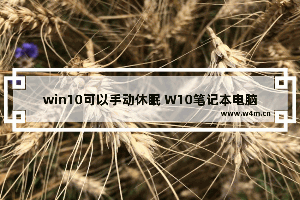 win10可以手动休眠 W10笔记本电脑休眠设置