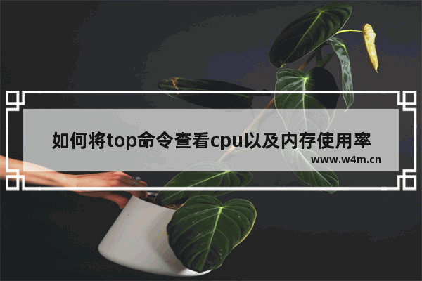 如何将top命令查看cpu以及内存使用率 屏幕上的信息转为文件保存 c 获取cpu使用率