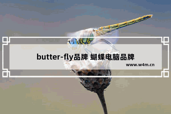 butter-fly品牌 蝴蝶电脑品牌