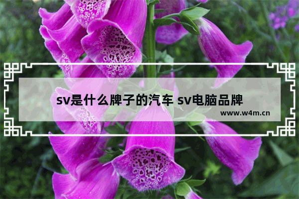 sv是什么牌子的汽车 sv电脑品牌