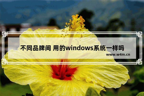 不同品牌间 用的windows系统一样吗 电脑本机的品牌怎么查