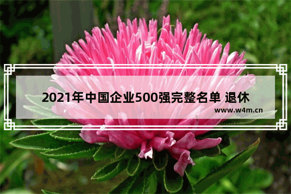 2021年中国企业500强完整名单 退休养老金怎么计算