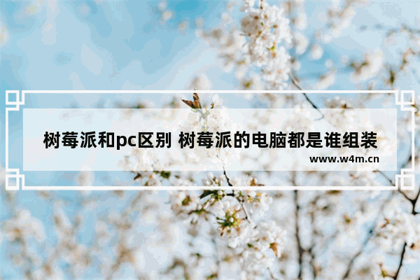 树莓派和pc区别 树莓派的电脑都是谁组装的