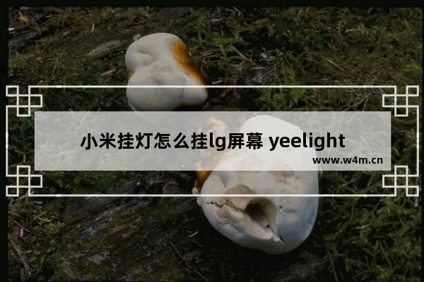 小米挂灯怎么挂lg屏幕 yeelightpro能挂在lg上么