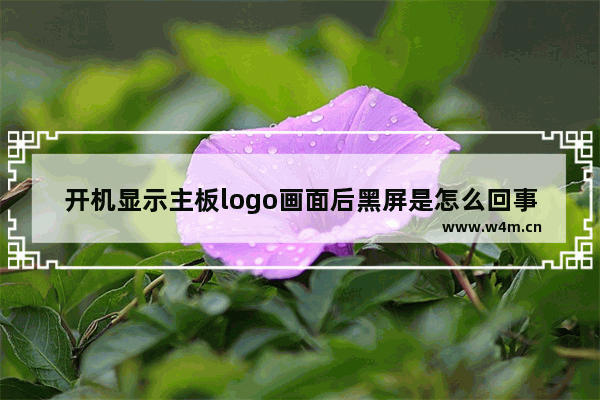 开机显示主板logo画面后黑屏是怎么回事 电脑开机后主板屏幕黑屏