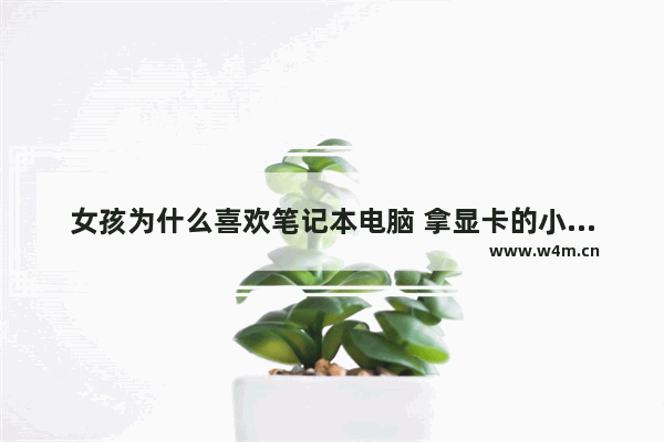 女孩为什么喜欢笔记本电脑 拿显卡的小女孩