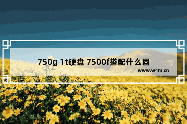 750g 1t硬盘 7500f搭配什么固态硬盘