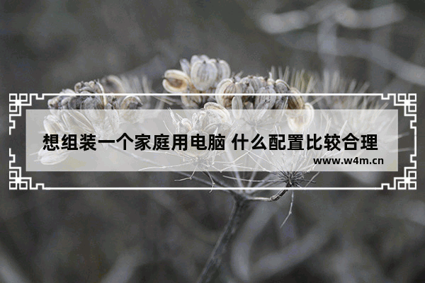 想组装一个家庭用电脑 什么配置比较合理 价位大约是多少 i3三代组装电脑最佳配置