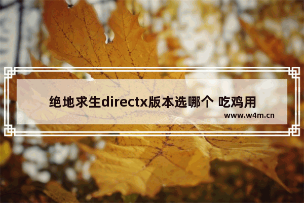 绝地求生directx版本选哪个 吃鸡用什么显卡好