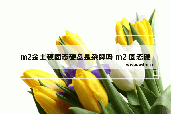 m2金士顿固态硬盘是杂牌吗 m2 固态硬盘