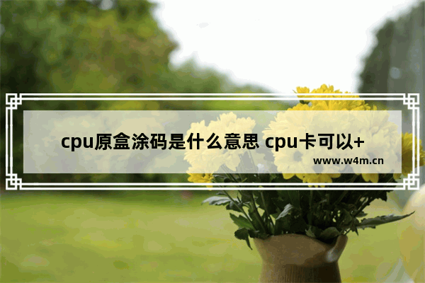 cpu原盒涂码是什么意思 cpu卡可以++么