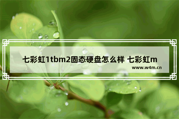 七彩虹1tbm2固态硬盘怎么样 七彩虹m2固态硬盘