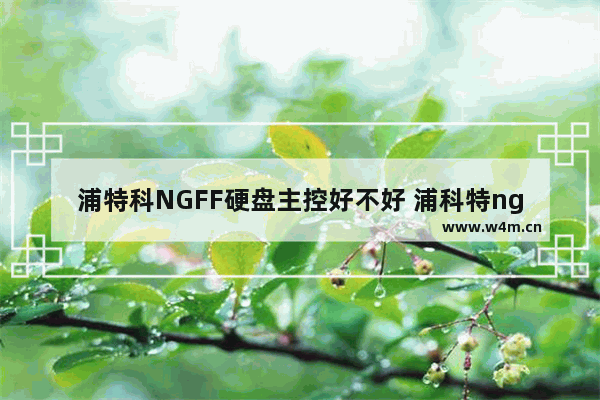 浦特科NGFF硬盘主控好不好 浦科特ngff固态硬盘怎么样