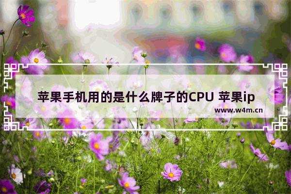 苹果手机用的是什么牌子的CPU 苹果iphone4S的处理器是多少的