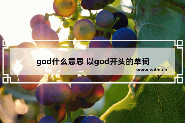 god什么意思 以god开头的单词