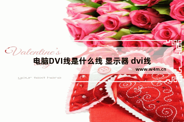 电脑DVI线是什么线 显示器 dvi线