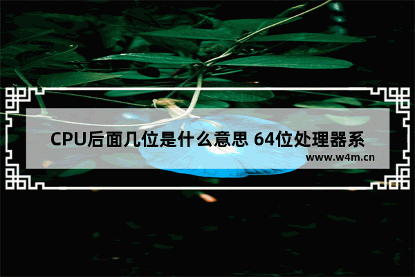 CPU后面几位是什么意思 64位处理器系统安几位