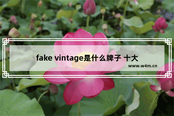 fake vintage是什么牌子 十大顶级古董音箱