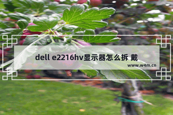 dell e2216hv显示器怎么拆 戴尔2721显示器底座怎么拆