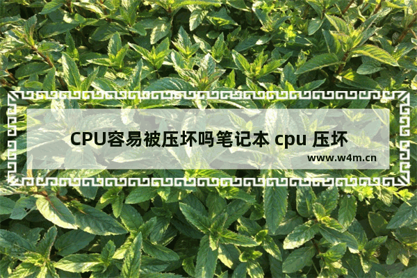 CPU容易被压坏吗笔记本 cpu 压坏