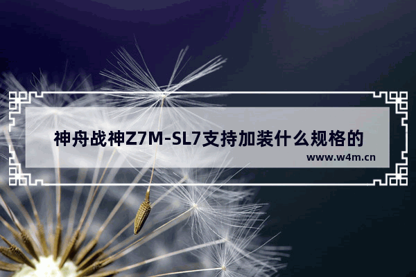 神舟战神Z7M-SL7支持加装什么规格的固态硬盘 游戏本推荐几个牌子 便宜好用的