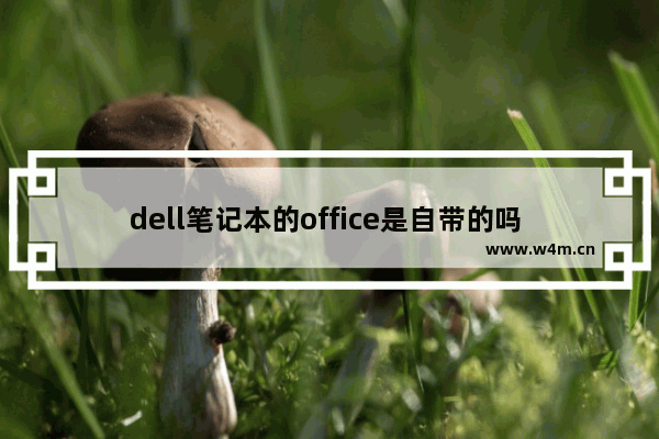 dell笔记本的office是自带的吗 2016戴尔笔记本电脑