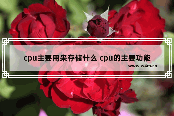 cpu主要用来存储什么 cpu的主要功能是运算和存储