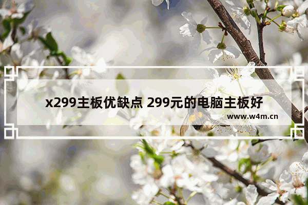 x299主板优缺点 299元的电脑主板好吗